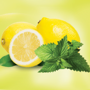 Adalya Tobacco Lemon Mint 1KG