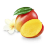 aloha mango