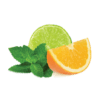 citrus mint