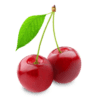 sour cherry