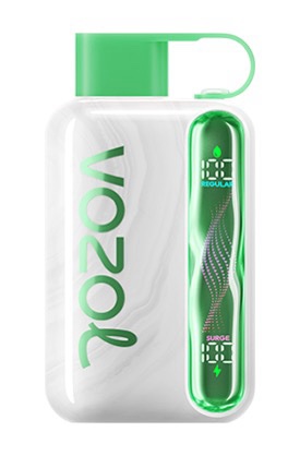 VOZOL Karpuz Sakız 40000 Çekim 3 3 img 8179