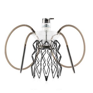 MEDUSE Aurita Lime
