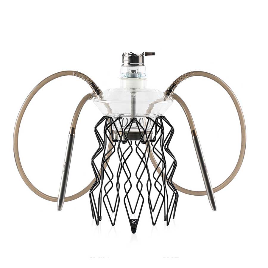 MEDUSE Aurita Lime 3 3 meduse aurita