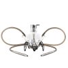 MEDUSE Aurita Krab 1 1 meduse krab black