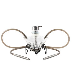 MEDUSE Aurita Krab